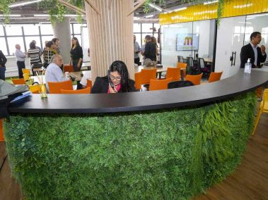 Recepção coworking Mango Tree