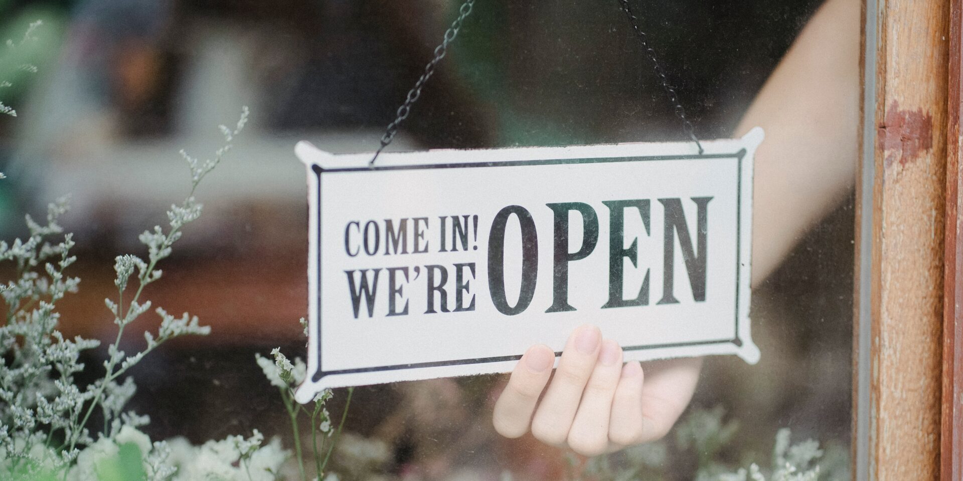 bom vendedor - mango tree